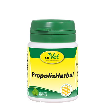 Propolis Herbal Pulver für Heimtiere