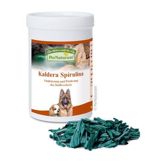 Kaldera Spirulina für Hunde