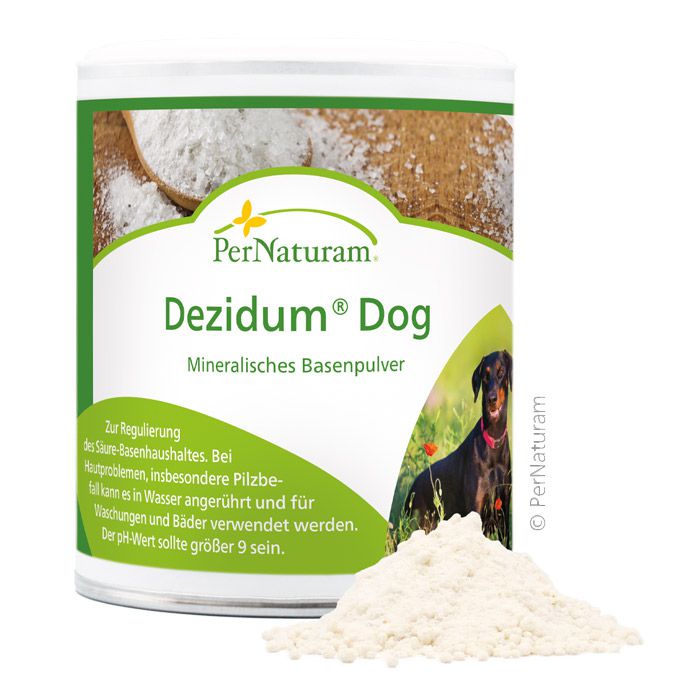 Dezidum Dog