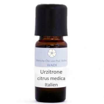 Urzitrone/Citrus medica