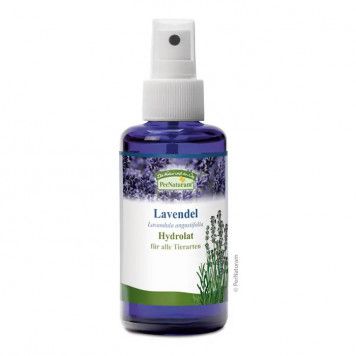 Lavendel Hydrolat für Tiere