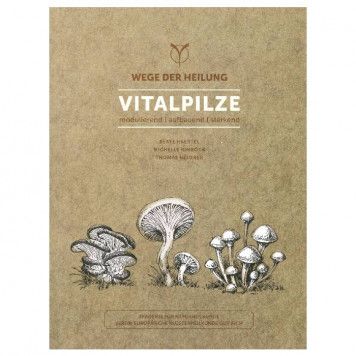 Vitalpilze – modulierend, aufbauend, stärkend