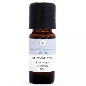 Latschenkiefer bio