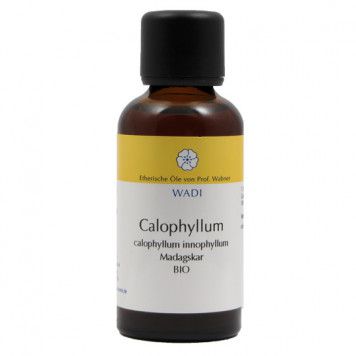 Calophyllum Bio, 50ml