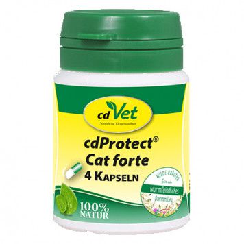 cdProtect Cat forte Kapseln