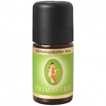 Himalayakiefer bio